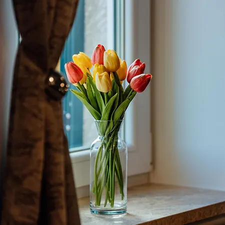 Magic Sunset فيلة إيموتسكي